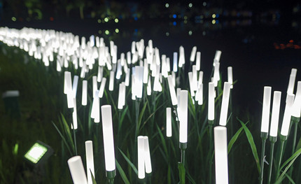 成都世警會正火熱開展，華體用夜景照明這樣添彩世警會